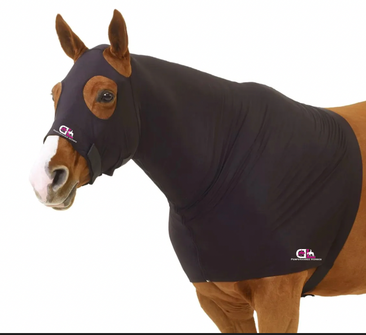 Dana Laing Performance Horses Slinky Hood with Zipper