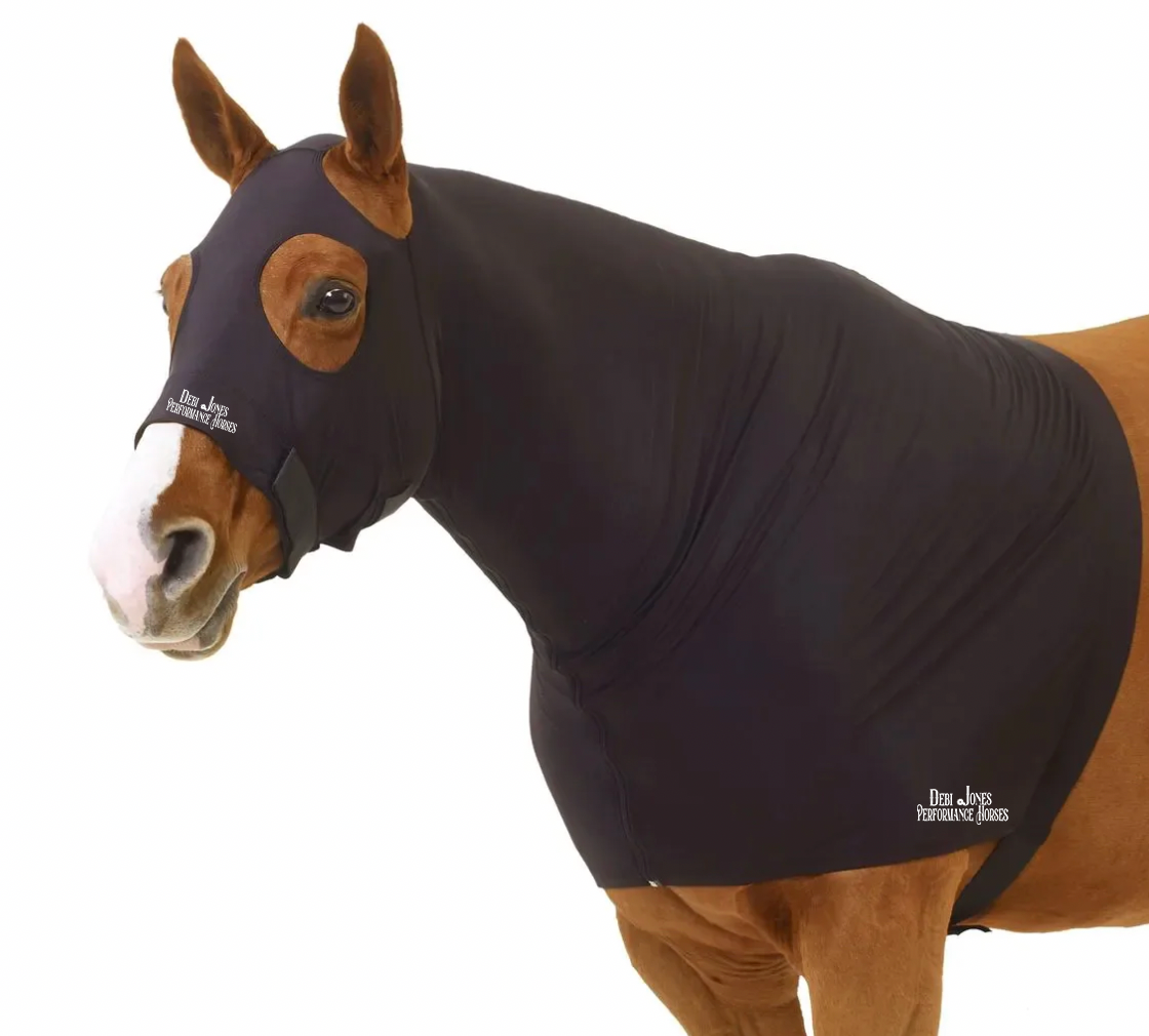 Debi Jones Show Horses Horse Hood