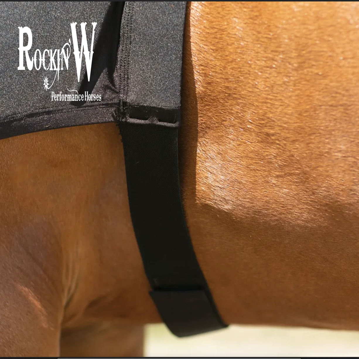 Rockin'W Performance Horses Mesh Horse Hood