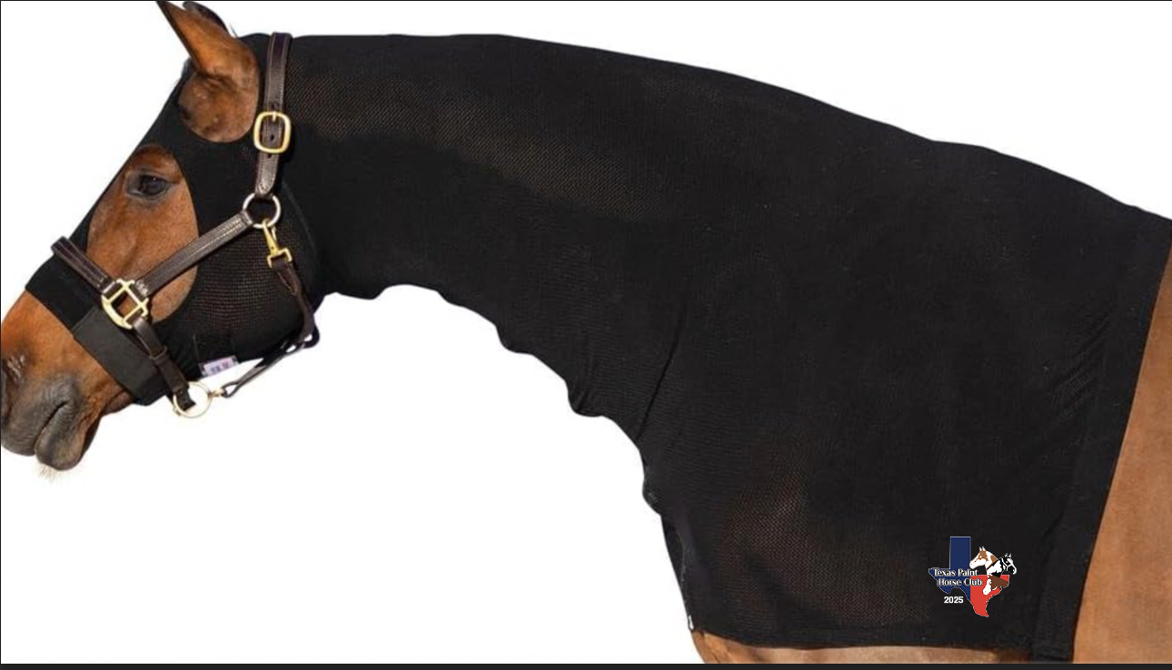 Texas Paint Horse Club Horse Hood