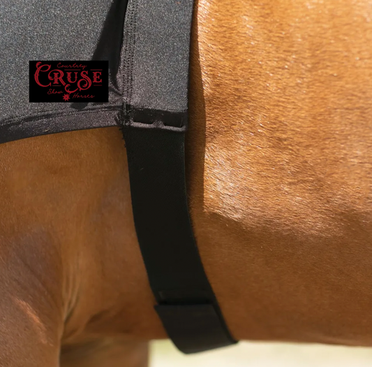 Courtney Cruse Show Horse Hood