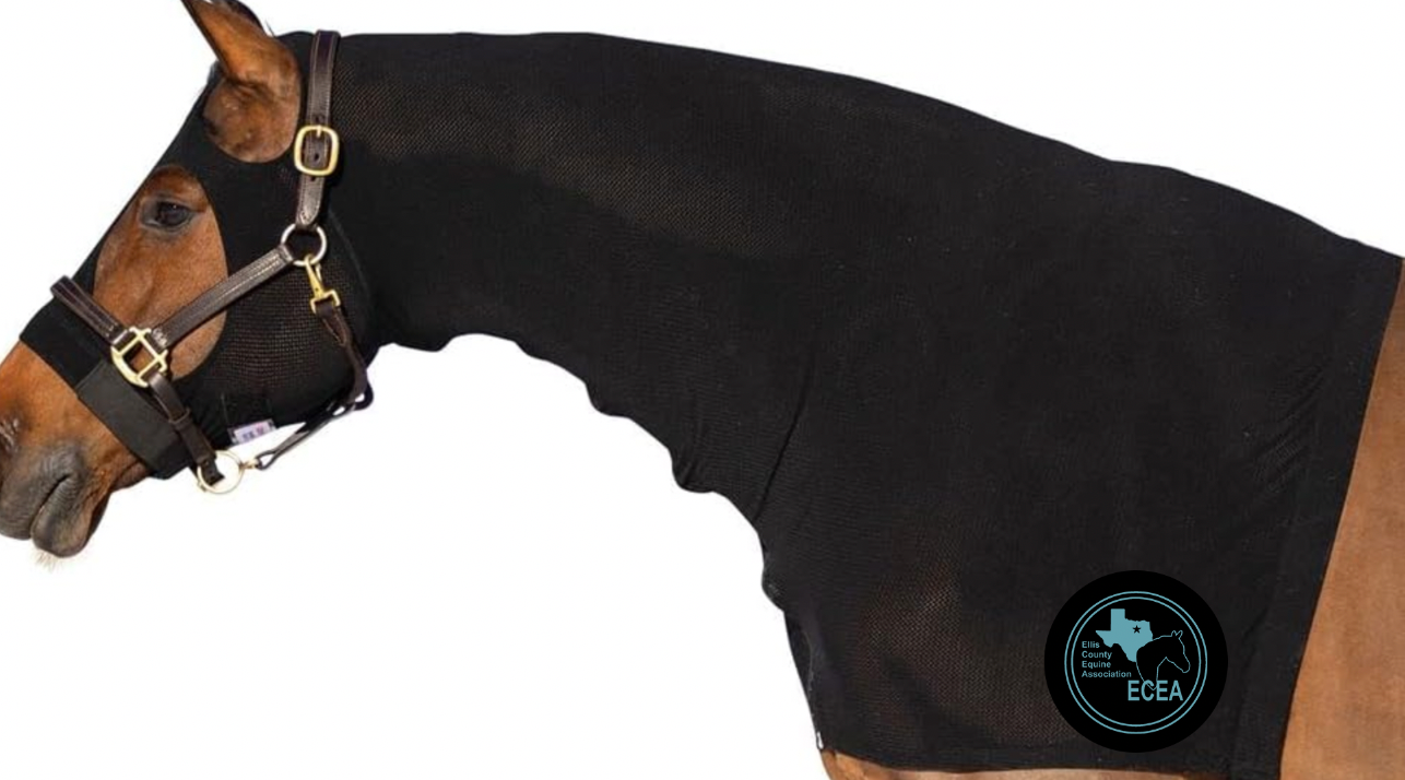 ECEA Horse Hood