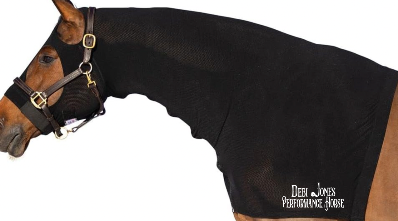 Debi Jones Show Horses Horse Hood