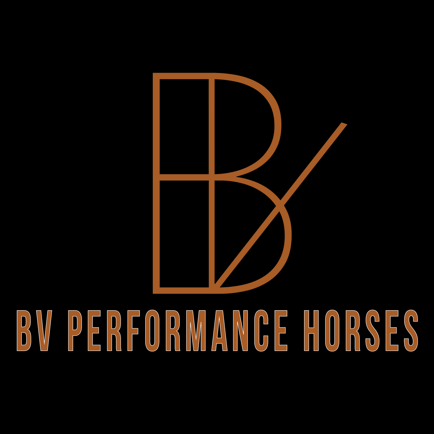 BV Performance Horses
