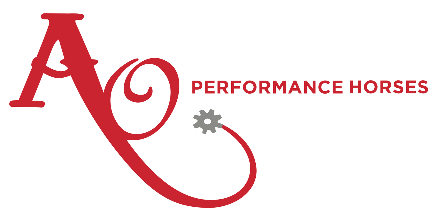 AO Performance Horses