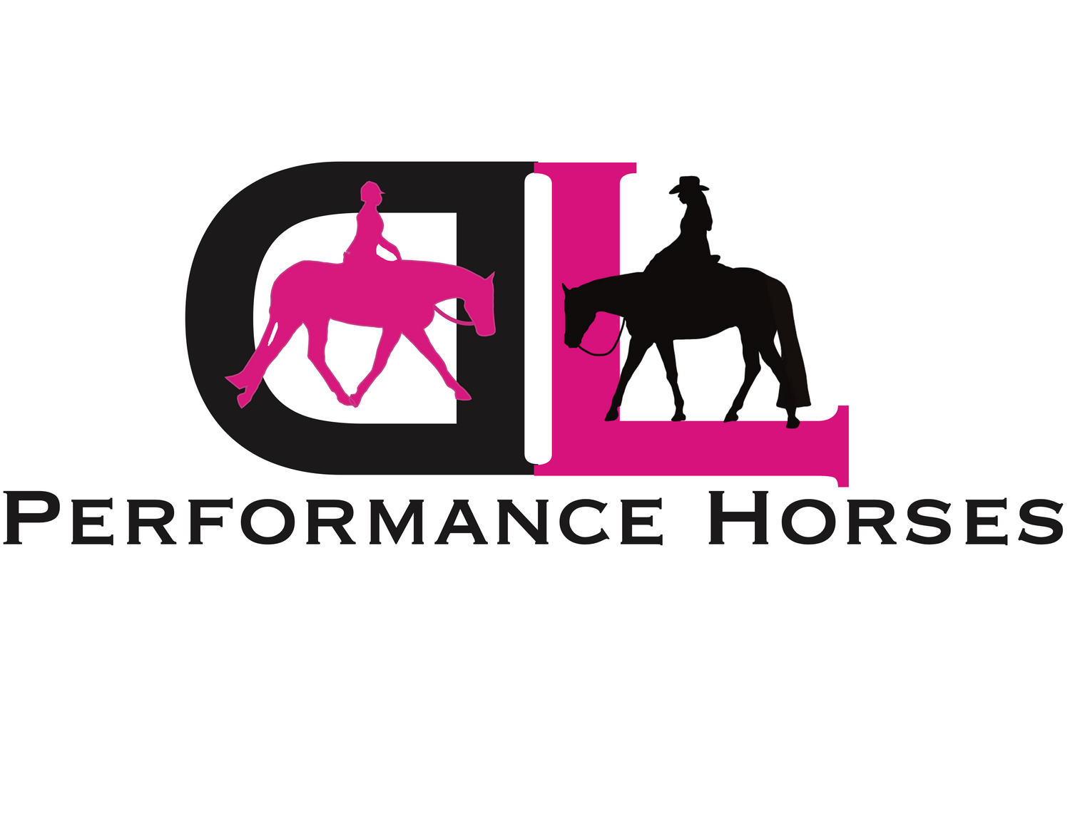 Dana Laing Performance Horses