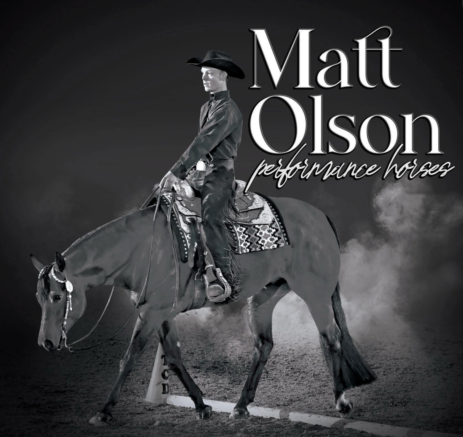 Matt Olson Performance Horses