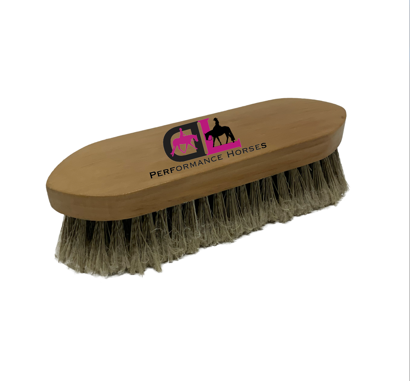 Dana Laing Performance Horses Logo Brush