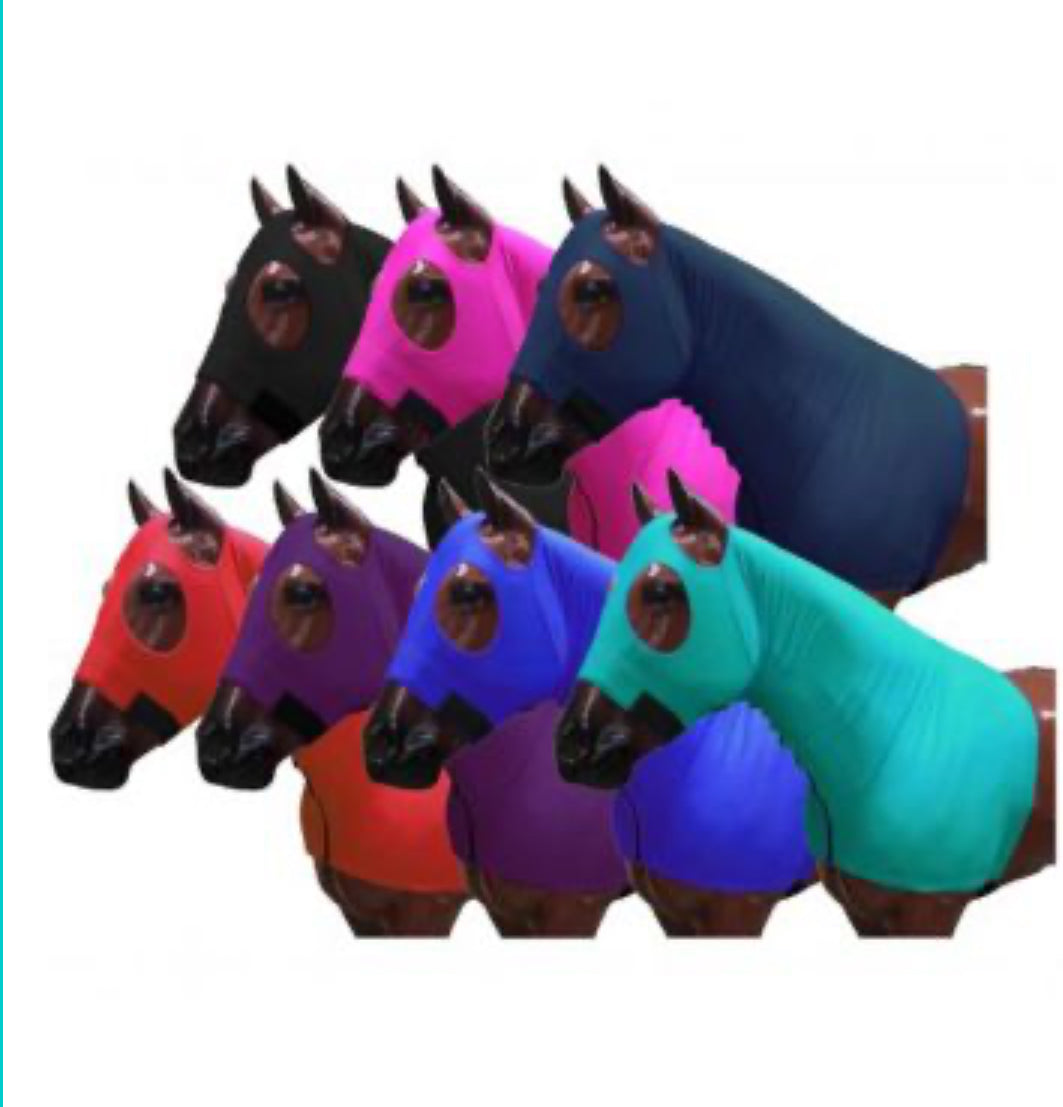 Debi Jones Show Horses Horse Hood
