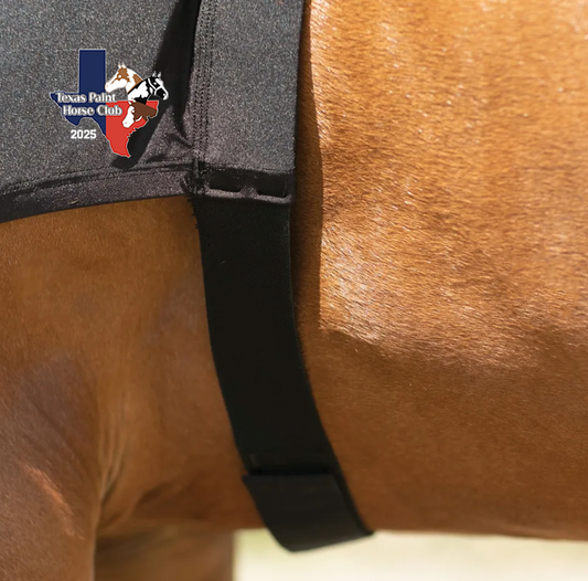 Texas Paint Horse Club Horse Hood
