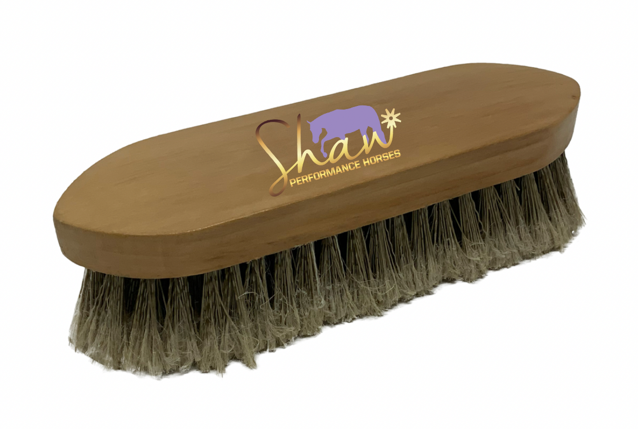 Shaw Performance Horses Logo Brush
