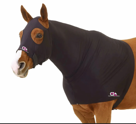 Dana Laing Performance Horses Slinky Hood with Zipper