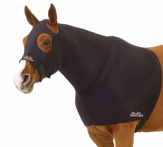 Debi Jones Show Horses Horse Hood
