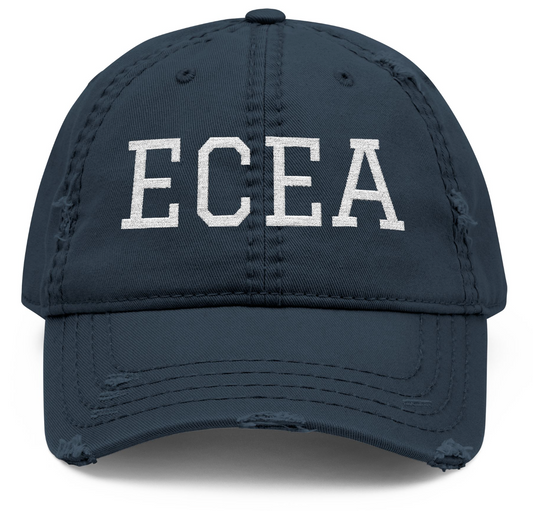 ECEA Horses Embroidery Horse Hat