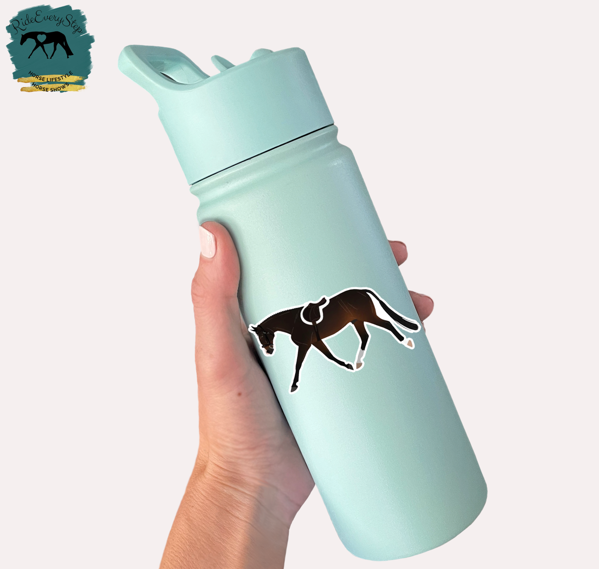 Horse Riding Discipline Sticker