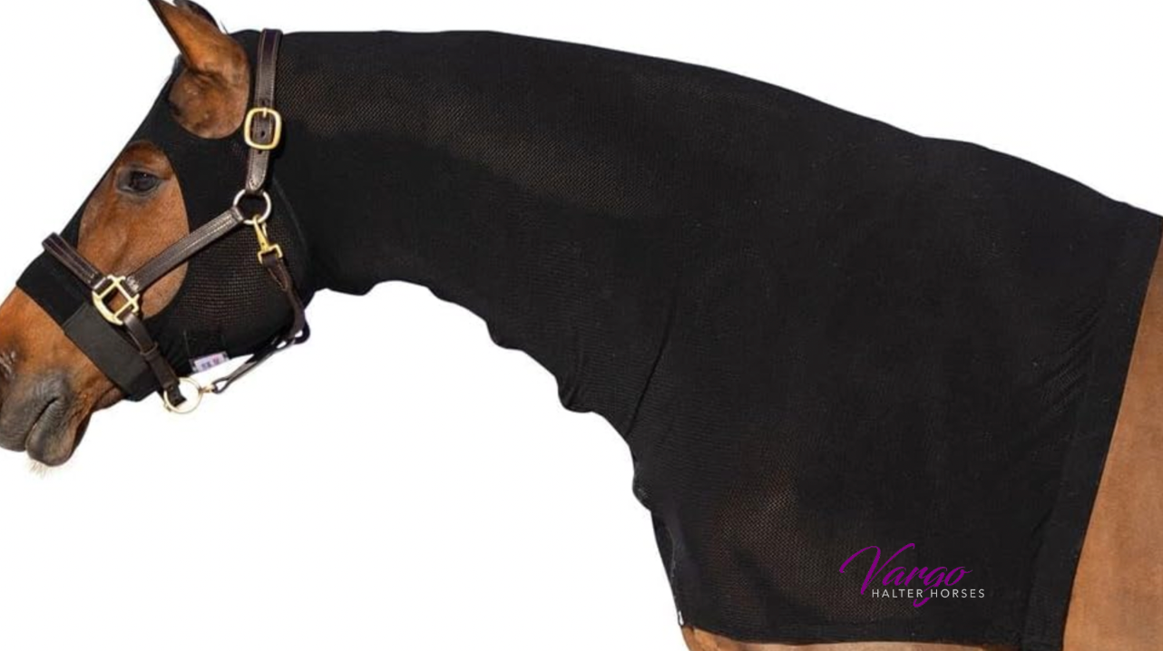 Vargo Show Horses Horse Hood