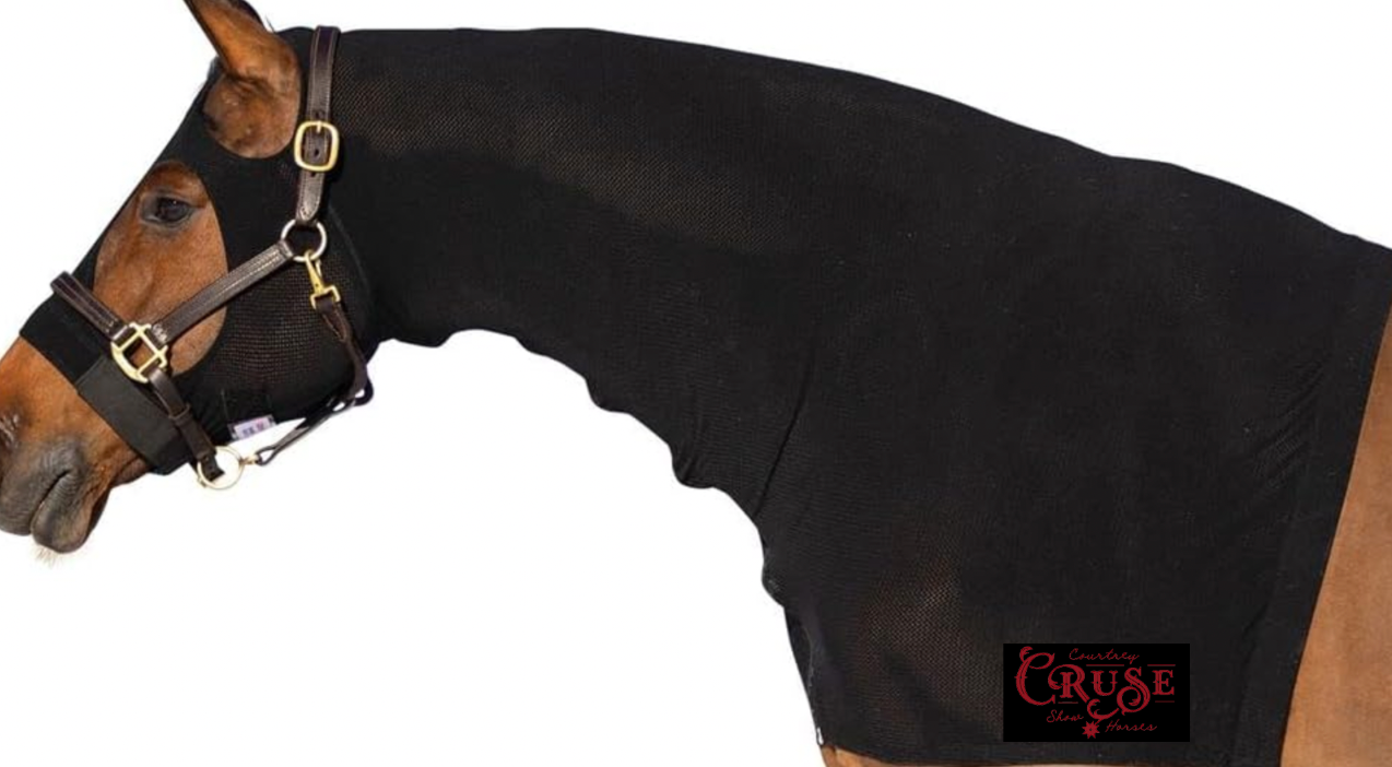 Courtney Cruse Show Horse Hood