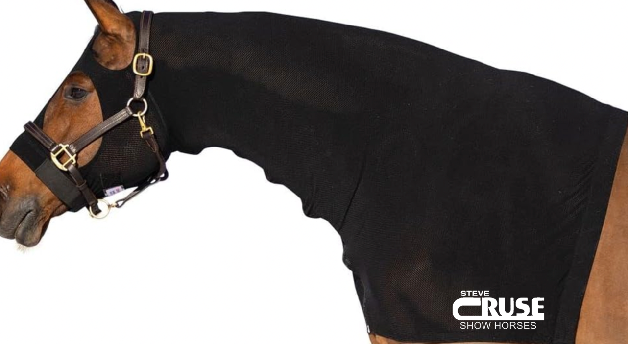 Steve Cruse Show Horse Hood