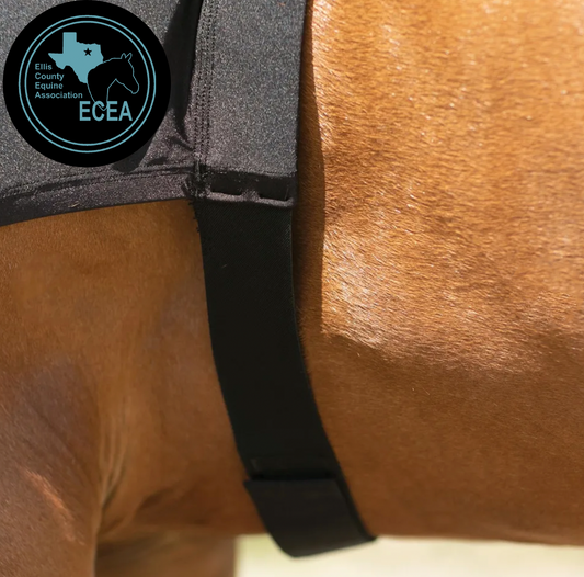 ECEA Horse Hood