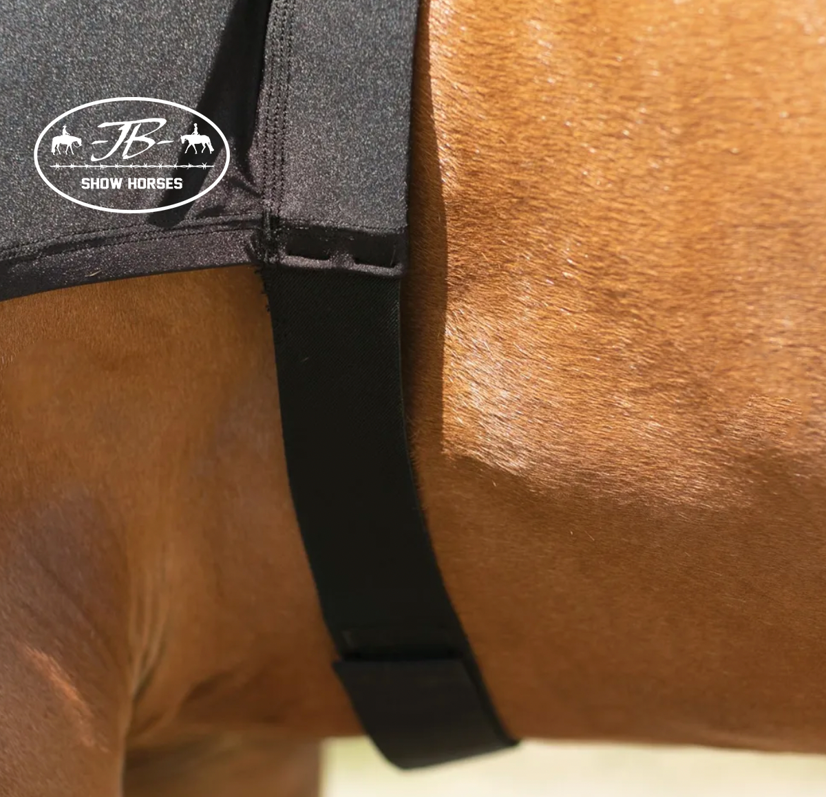 Justin Brown Show Horses Horse Hood