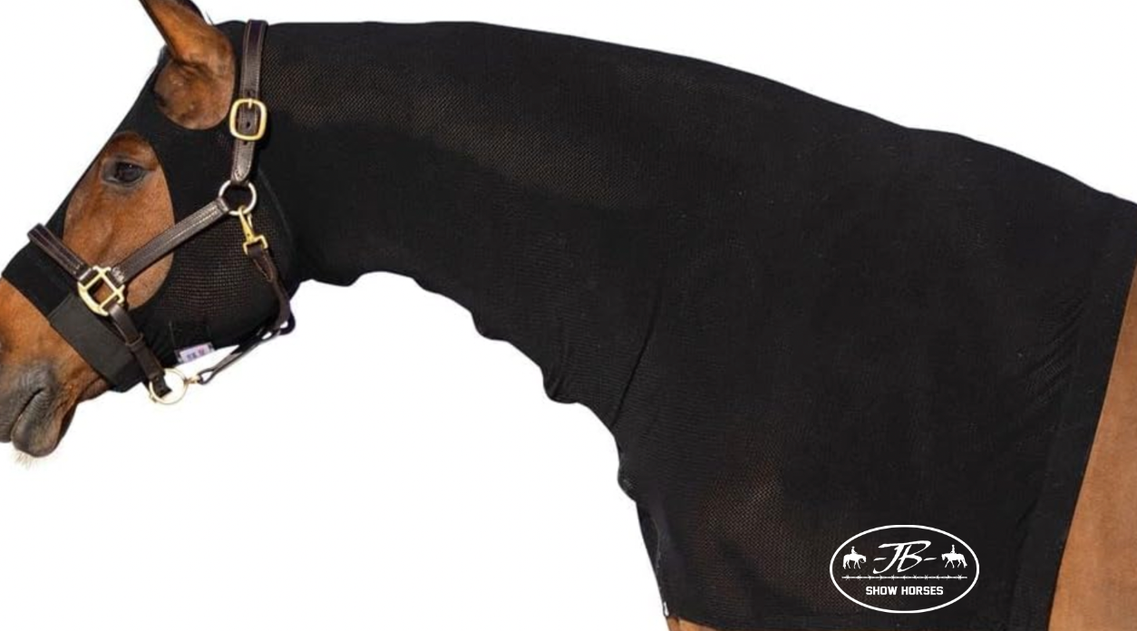 Justin Brown Show Horses Horse Hood