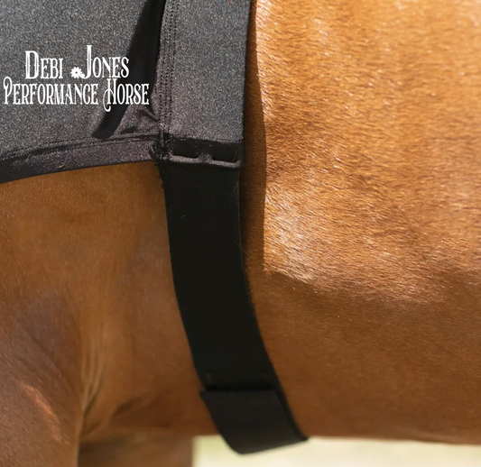 Debi Jones Show Horses Horse Hood