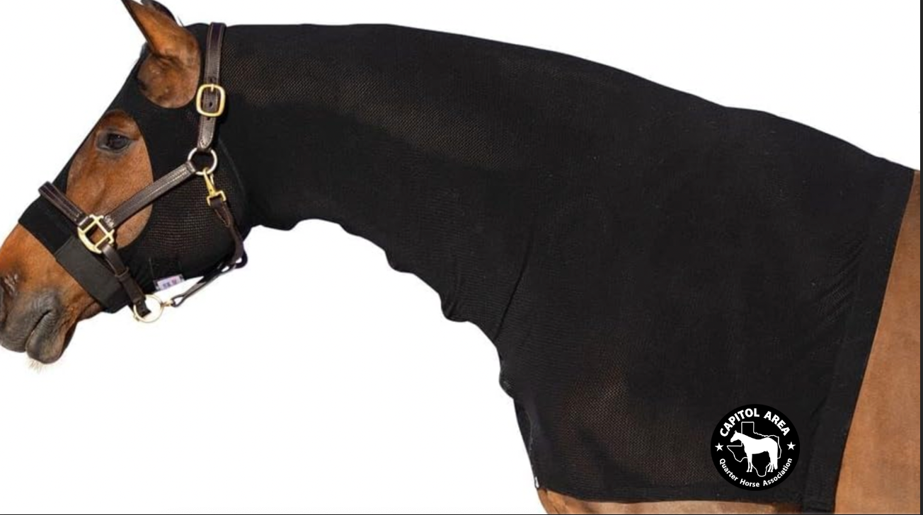 The Capitol Area Quarter Horse Associations Horse Hood